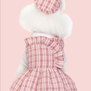 Cute dog dresses with matching hat
